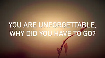 Conor Maynard, Anth - Unforgettable (with lyrics)