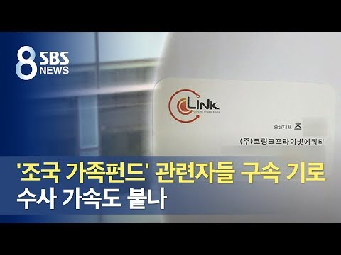 &amp;#39;조국 가족펀드&amp;#39; 관련자들 구속 기로…수사 가속도 붙나 / SBS