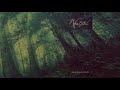 Wistful  metempsychosis full album