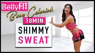 Shimmy Calorie Burner | Belly Dance Cardio Fitness!