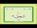 16 surah an nahl  with audio urdu hindi translation qari syed sadaqat ali