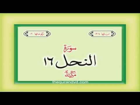 16.-surah-an-nahl-with-audio-urdu-hindi-translation-qari-syed-sadaqat-ali