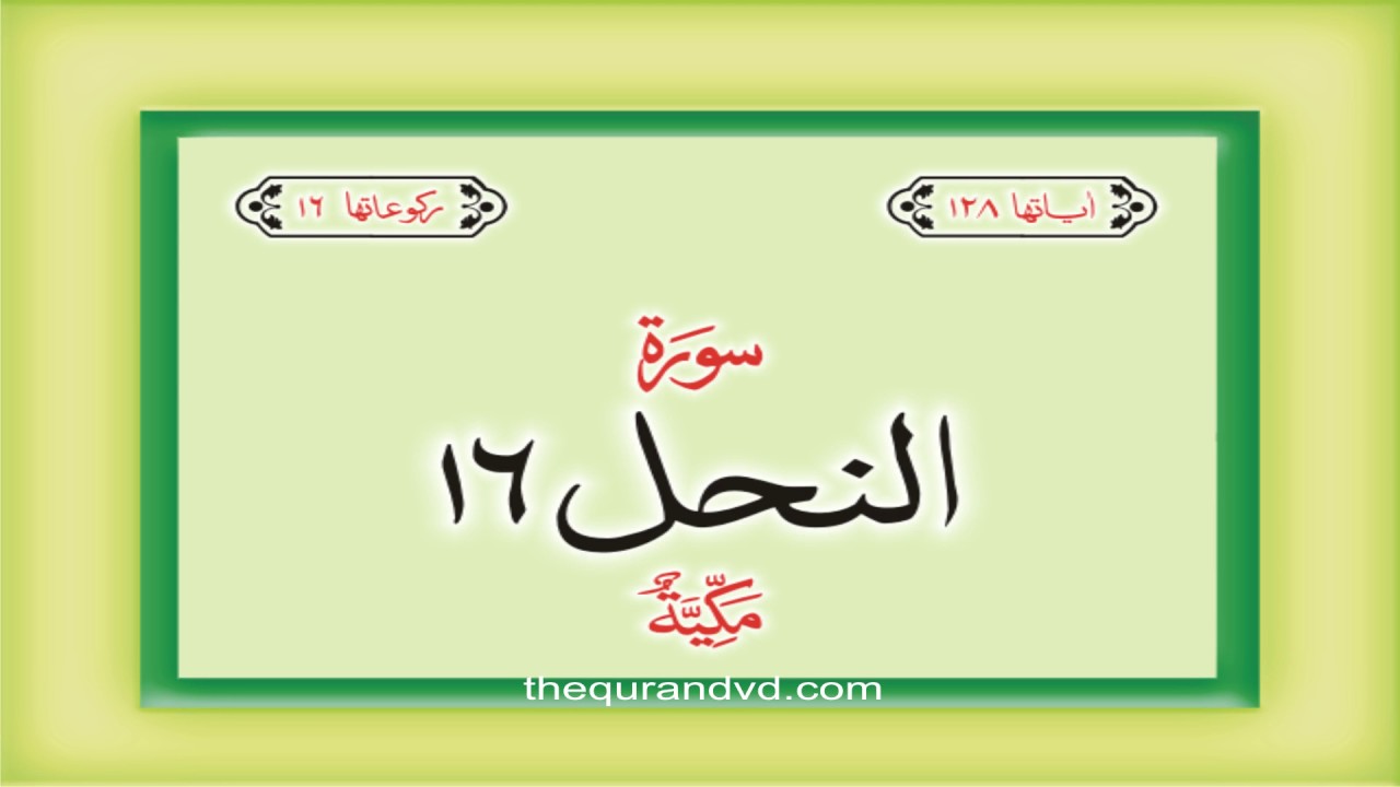 16. Surah An Nahl  with audio Urdu Hindi translation Qari Syed Sadaqat Ali