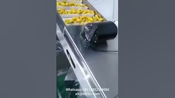 mango pulping production line