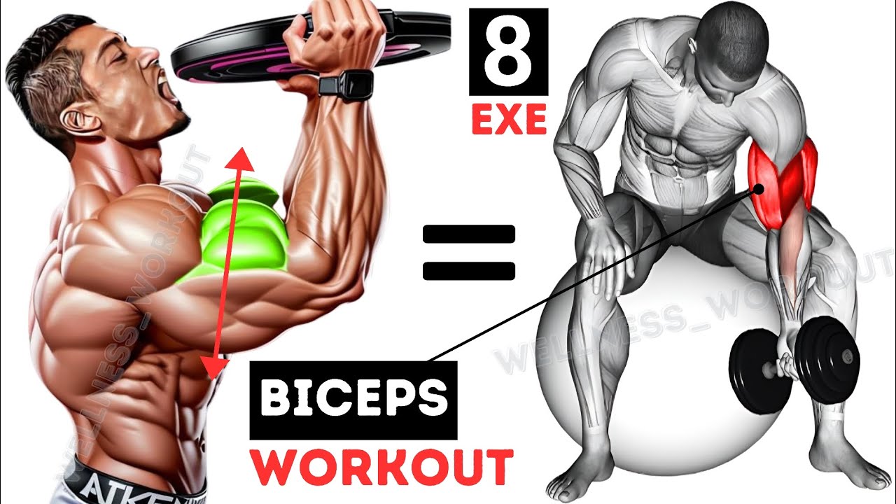 8 Effective Biceps Exercises To Build Huge Arm Workout