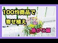 【多肉寄せ植え】100均鳥かごで寄せ植え作りました！かごに寄せ植えする方法！