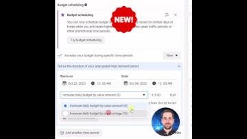 Budget Scheduling for Facebook Ads