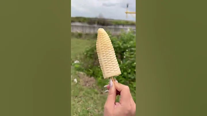 Một Ngày Săn Máy Bay Của Pít | Pít Ham Ăn | #Shorts