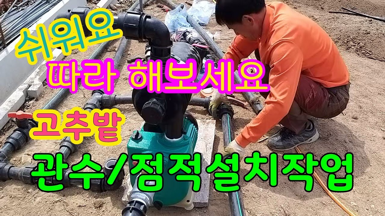 노지고추밭 관수/점적호스 설치작업(여자농부)