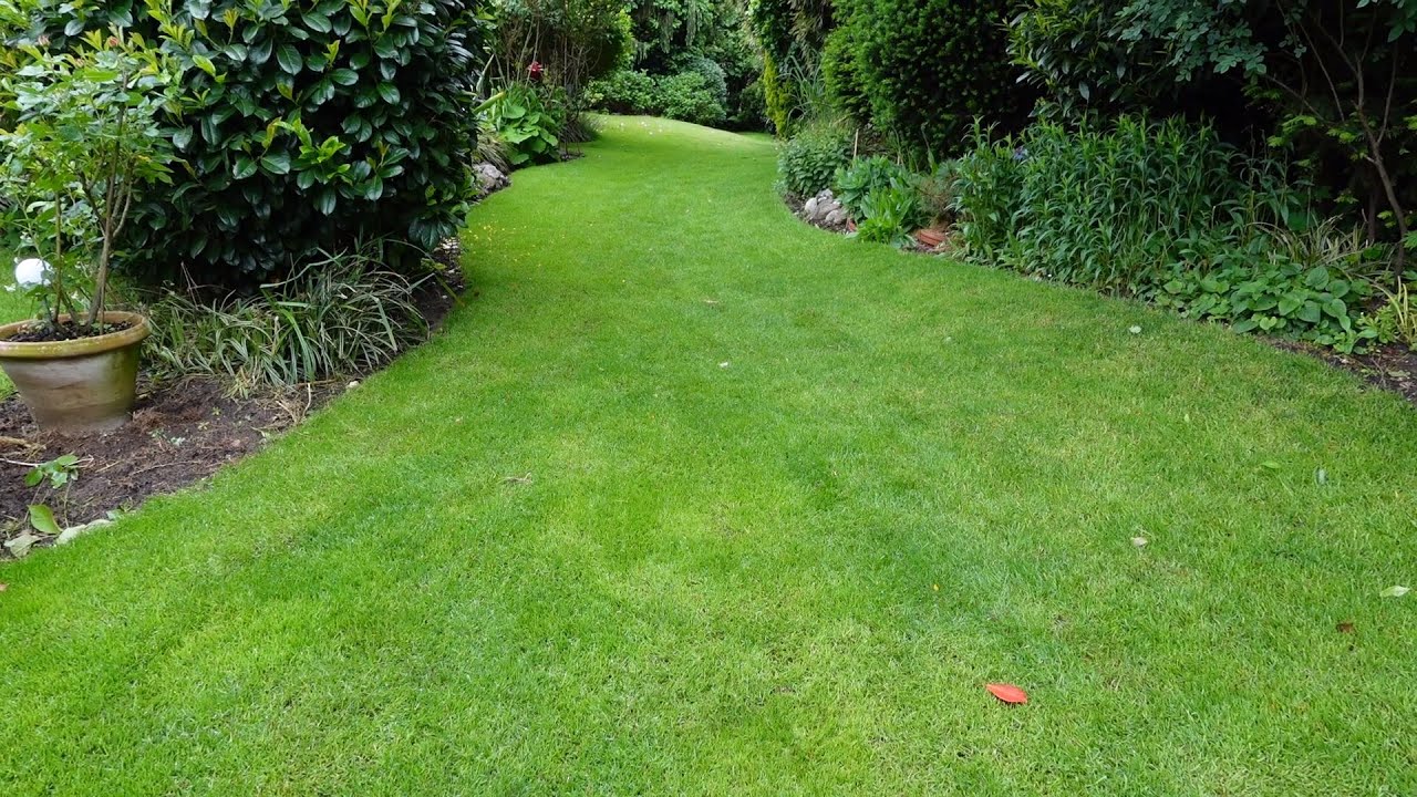 Rasenpflege im Winter ? Saisonstart dies Mal im Winter