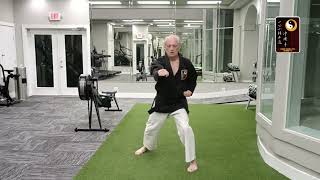 Basics: Reverse Punch - Shihan Rod Lindgren #karate #okinawate #martialarts