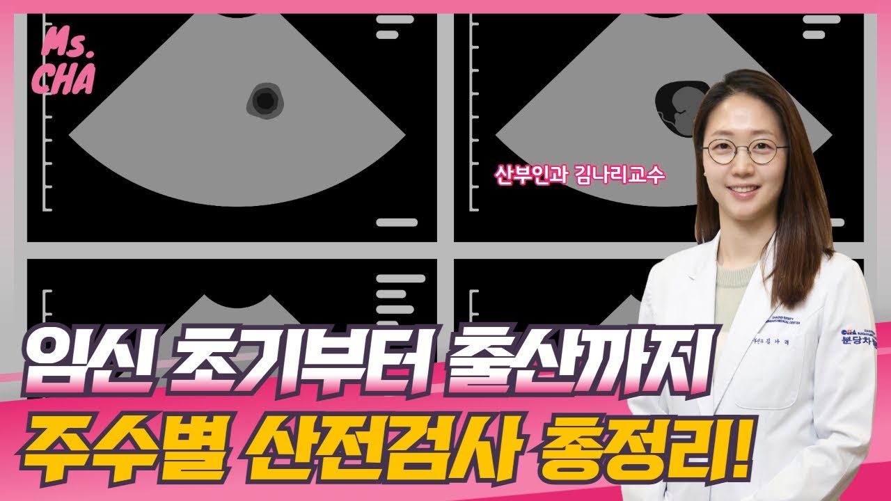 [분당차병원·분당차여성병원] 임신 주기별 변화부터 출산 징후까지_분당차여성병원 산부인과 김나리교수