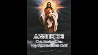 Lagu Misa Katolik // AGNUS DEI-Anak Domba Allah, Cipt. Kondrad Klau, Voc. Vox Angelicam Choir