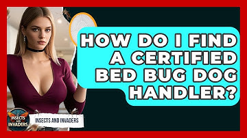 How Do I Find A Certified Bed Bug Dog Handler? - Insects and Invaders