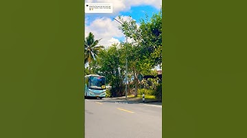 KODE PUSAKA‼️ #automobile #basuribussid #busmania #bussid #basuri #telolet #busbasuri #roblox#fypシ