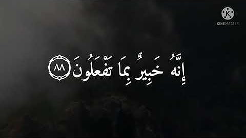 وَتَرَى الْجِبَالَ تَحْسَبُهَا جَامِدَةً...|من سورة النمل|إسلام صبحي|أرح قلبك.. 🧡🍂
