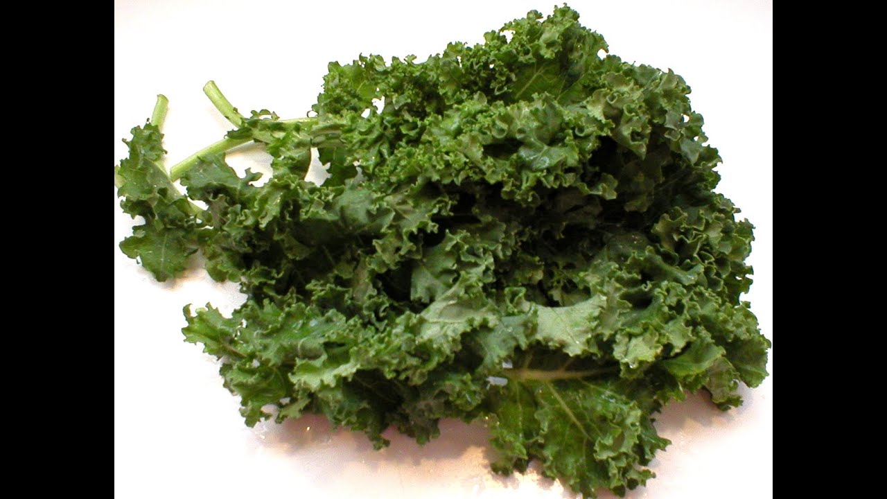 Hydroponics - Growing Kale Start to Harvest