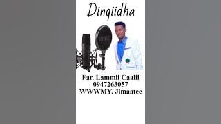 Far. Lammii Caalii 0947260357@aby studio  11