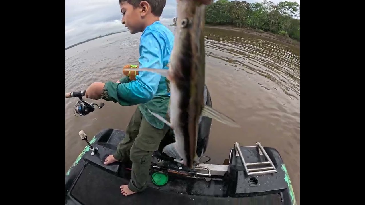 Otra especie de Bagre del Amazonas, Nombre?