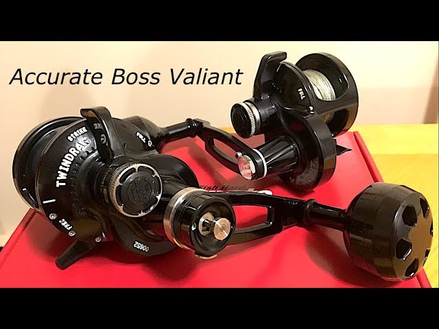 Accurate Fishing Reels Review 