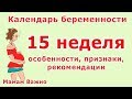 15 неделя беременности: особенности, изменения, рекомендации