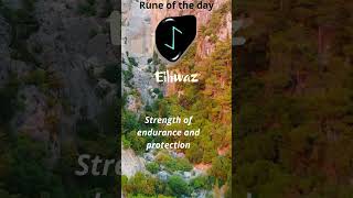 Famous Eihwaz #thinking #philosophy #motivation Profile