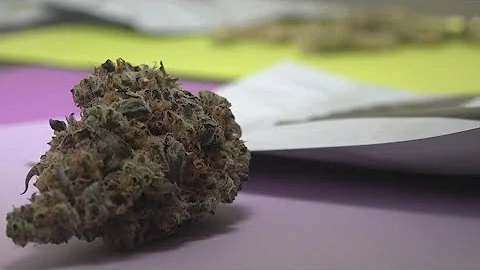 Missouri to open cannabis microbusiness lottery application process this week