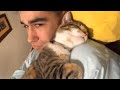 When a cat loves you more than you love yourself ❤️ Funny Cats and Humans