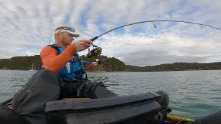 Softbait smashed by big Snapper! screenshot 3