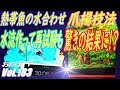 熱帯魚水合わせ「爪楊枝法」再試験！　結果、短時間では水が入ってきませんっ！？ #183