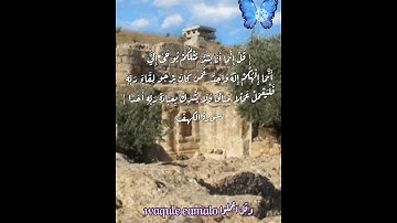 قل إنما أنا بشر مثلكم //سورة الكهف//حالات واتس دينية