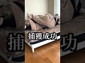 1番安心できる場所を世界一怖い場所にしてみたらブチギレられて殴られた