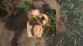 Download Lagu All Of Me | SPED UP + Reverb MP3