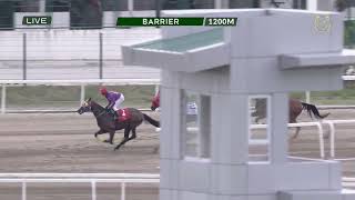 BARRIER FEB 13 2026 1200m