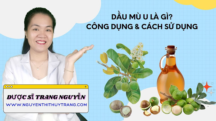 Dầu mù u bình minh trung sơn năm 2024