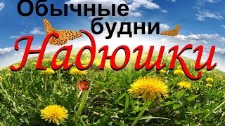 VLOG: После ПЛАСТИЧЕСКОЙ операции Один день Надюшки! Жизненный Влог и семейные видео!