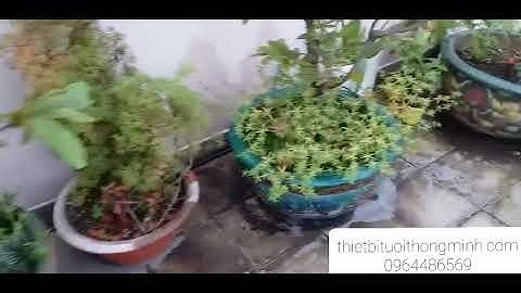 Lắp đặt hệ thống tưới vườn rau trên sân thượng hẹn giờ tự động van dùng pin tưới cây phun nước 8 tia