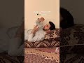 افغان هایکه در اوکراین هستند