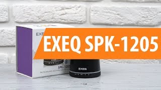 Распаковка EXEQ SPK 1205 / Unboxing EXEQ SPK 1205
