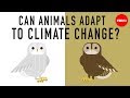Adapting to Climate Change Through Evolution and Human Innovation
