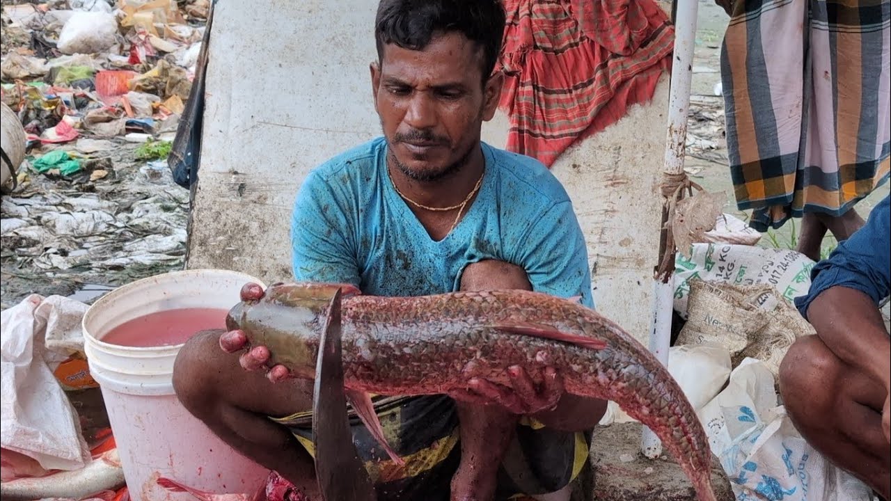 Amazing✅ Biggest Curp Fish || Expert Butcher Fish Cutting Show