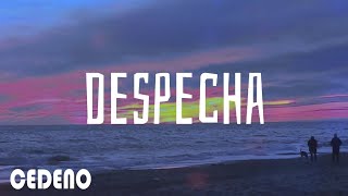 Rosalia - Despecha - (letra/lyrics)