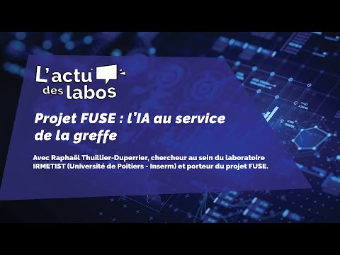 [L’ACTU DES LABOS] Projet FUSE : l'IA au service de la greffe