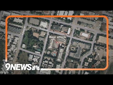 Aspen hotel security guard attacked by bear
