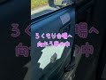【なーな】ろくもりイベント会場へ向かう車の中で！！　#Shorts