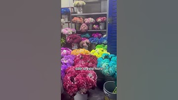 Thumbnail of Un día con nosotros siendo floristas en Aromia #emprendimiento #floreria #peru