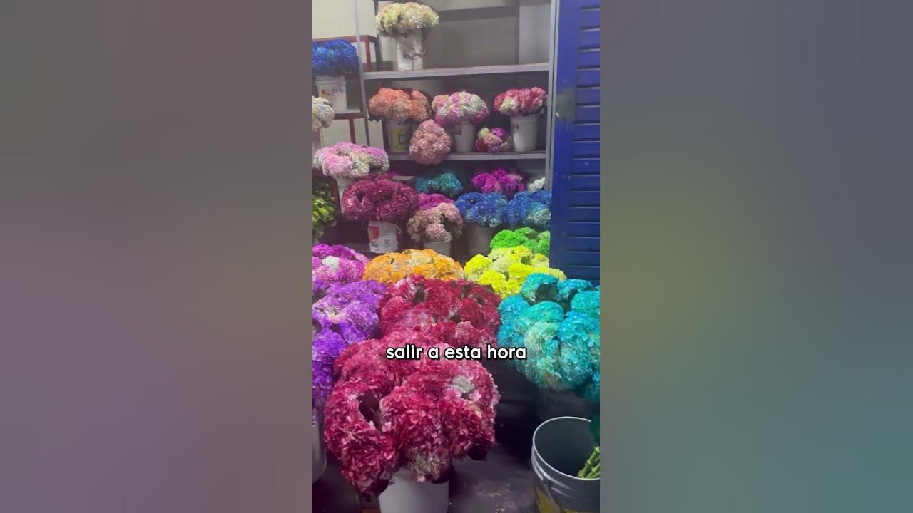Un día con nosotros siendo floristas en Aromia #emprendimiento #floreria #peru