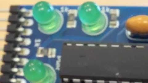 Olive Magnolia Sensors