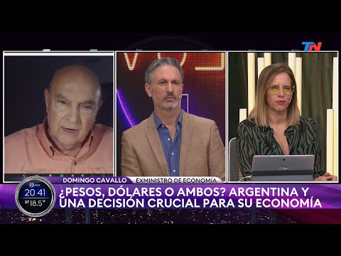¿Pesos, dólares o ambos? I Domingo Cavallo, exministro de economía