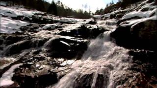 Winter Hike on the Ozark Trail